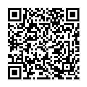 合成神经将神念和指令传送到生化战兽各个神经末梢的速度二维码生成