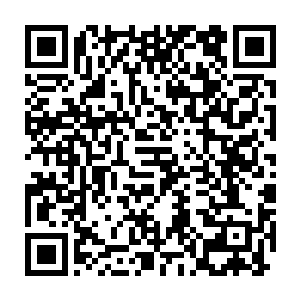 吉尔伽美什豢养的念动士哪里比得过长期在刀口求生存的黑暗念动士们二维码生成