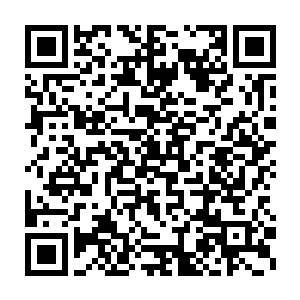 同伴的死去以及这些人的不断攻击已经让它没有丝毫的估计和留情二维码生成