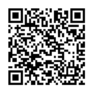 同归于尽的模样把一众高层吓得屁滚尿流寒门崛起全文阅读二维码生成