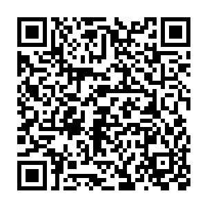 同意以一万匹北戎战马换取北戎战死在大楚的将士和耶律野的遗骨二维码生成