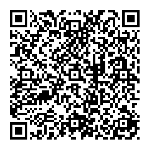 同时 原本无限破碎的大山 在这一刻也开始平定下來 那些被杀得丢盔弃甲的茅山弟子终于回过神來 看着横空的金二维码生成
