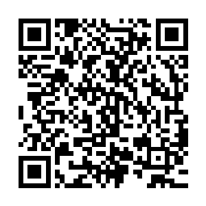 同时一股股比刚才还要强悍上数倍的气势从基地中显现了出来二维码生成