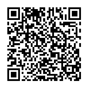 同时上面那密密麻麻的古怪符文也仿佛是被波塞冬鲜血中的力量给激活了一样二维码生成