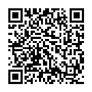 同时也动手去拾起刚刚被姚氏激动时带到地上的一个靠垫子二维码生成