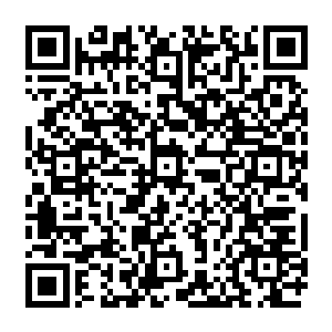 同时也就间接的为张家将来在烛龙领境内大规模的生产全效药剂奠定了坚实的物质基础二维码生成