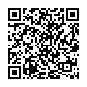 同时也是赤红界域当中他们所在的那一片地界的第一天才二维码生成