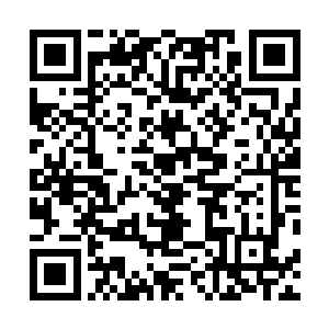 同时也标注了那些拍品的拍卖款将会作为善款捐献出去的二维码生成