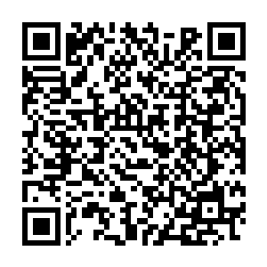 同时也让海神殿领地内的所有顶尖大家族都对龟族表现出深深的忌惮二维码生成