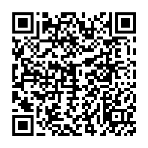 同时他们也很好奇这两个化神期的修士是如何在炼虚境界的手中死掉的二维码生成