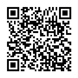 同时他们也终于明白为何族内那些大人会传出这样的命令二维码生成