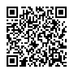 同时冷峻的面庞上也再度浮现出了那带着浓浓嘲讽意味的冷笑二维码生成