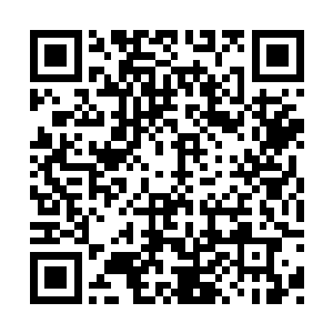 同时半空中连接……一段……两段……三段……二维码生成