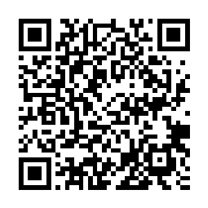 同时又指了指在那浸湿了好几处的衬衣上的印出来的春色和凸起二维码生成