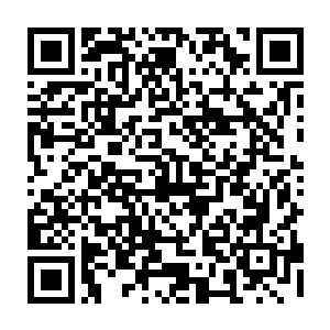 同时心中也不禁怀疑这火羽仙鹤居然敢硬生生撞击自己以五行灵气召出的水墙二维码生成