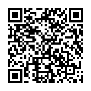 同时我还会帮你寻找一些能够在戈壁和沙漠上生存的植被二维码生成