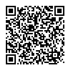 同时数之不尽的子弹也如同暴雨一般朝着杨朗所在的石巨人倾覆而去二维码生成