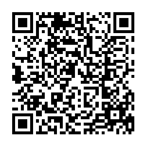 同时更多的妖族也开始在那由无数五行虫所组成的虫云覆盖下被撕成了碎片二维码生成