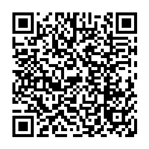 同时杨戬也明白了之前的时候从付先生身上感应到的那股莫名的气息是什么了二维码生成