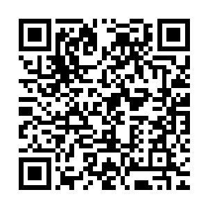 同时杨戬此时也明白了为什么器灵之前的时候会出现那种神情了二维码生成