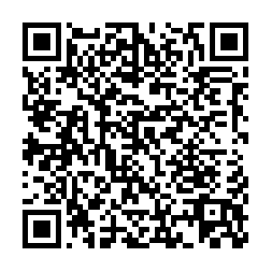 同时流墨墨忍不住感知了一下周围其实并没有什么特别之处的仙气二维码生成