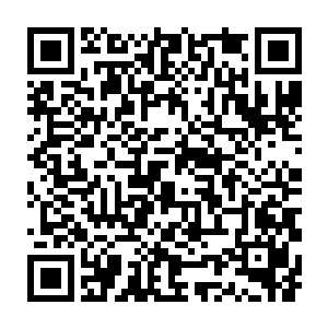 同时猛地探出手将刘承宇的袖子一把给拽住了刘承宇挥刀就要砍过来二维码生成