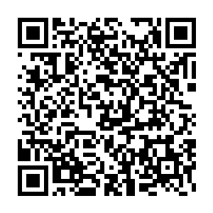 同时该惩罚会和最终奖励积分一同发放给第一个完成该任务的队伍二维码生成