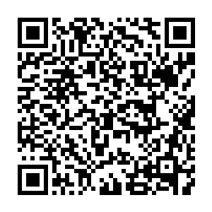 同时还隐约可见一道道粘稠的血液也无数细碎的碎肉从那血雾之中激射而出二维码生成