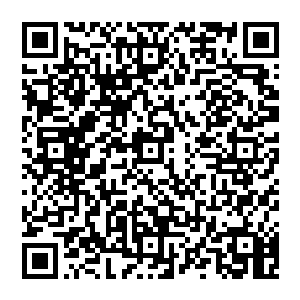 同时通过第三产业的发展来服务和辐射全市和整个昌北地区乃至整个昌鄂皖结合部以及长江中游地区二维码生成