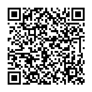 同时那位有些神神道道的道士师父挖来无数草药熬成药汤让他泡浴二维码生成