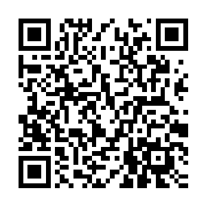 同时那善恶树和世界树树枝末端的枝桠还如同可怕的寄生虫一样二维码生成