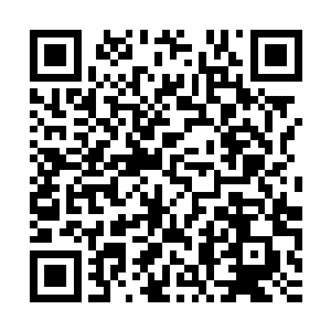 同时陌星子和陌路离殇也启动了之前他们提前布下的其他手段~二维码生成