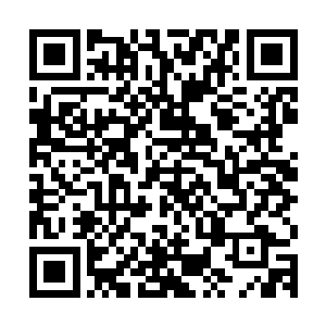 同时龙傲天几个人也终于第一次认识到了大型修真界城市的样子二维码生成