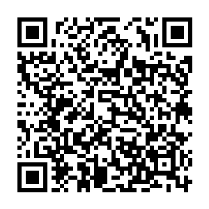 同样也是在办公室房门开启的时候让孙子轩有一种鸡皮疙瘩跳起感觉的人二维码生成