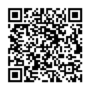 同样感到无比震撼和疑惑的还有在后台等着上场的翡翠二维码生成