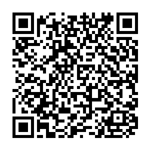 同样感受到铁背熊王变化的金刚巨猿自然也绝对不会放弃这么绝佳的机会二维码生成