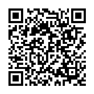 同样擅长助攻的罗伯托·卡洛斯的表现就显得糟糕多了二维码生成