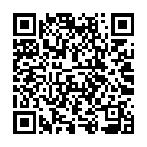 同样无法理解的还有此次行动的发起者――苏戎穆二维码生成