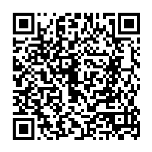 同样是神境三层的南氏世家首席医师南明福以及段氏世家护法长老段音也看出来二维码生成