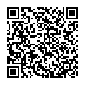 同样的五十五阶因为不同的生存环境的差别表现出了明显的战斗方式上的差距二维码生成