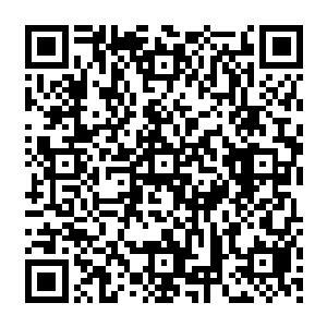 同样的人口基数之中华族之中成为九级以上战士的人数和诞生骑士的比例要比他们更很多倍二维码生成