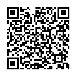 同样的投资在华夏绝对制作不出如此精细的模板二维码生成