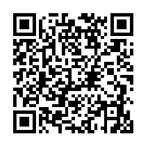 同样的是许家和楚家联盟也不可能同意隐世家族的条件二维码生成