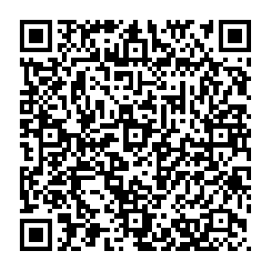 同样秦方的拳头也是迎着那金色巨剑狠狠的轰击了上去……两股恐怖绝伦的力量也是立即碰撞到了一起二维码生成