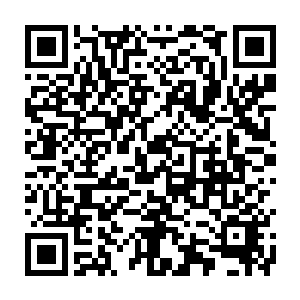 同样类型曾经有一枚32克玉如意去年年中以2684万被名家收藏……竞拍……开始二维码生成