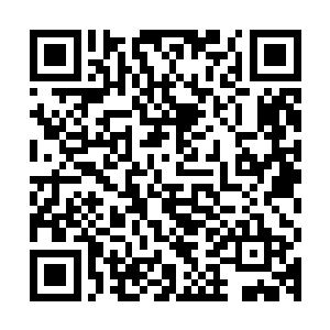 同样苏叶个人的潜意识硬生生的将剧中所有主演都死死的压住了二维码生成