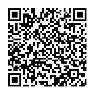 同样药材种植产业和制药行业的发展也会对市场带来一个正面的刺激作用二维码生成