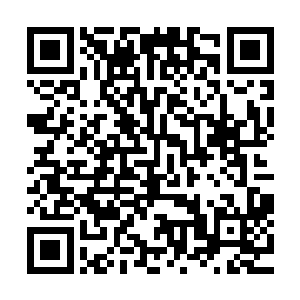 同样要他辨识这十枚药草并分别说出其在炼骨方面的主要作用二维码生成