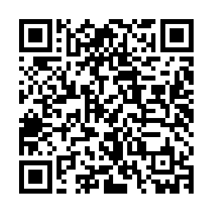 同样都是一脸亲切的和张远河握手说了几句才跟着组织部长离去二维码生成