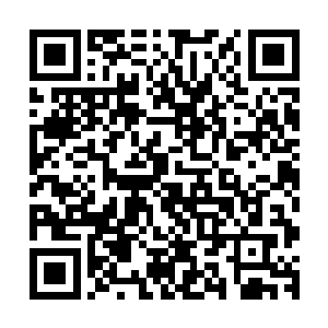 名叫安惜福的年轻男子正坐在桌前阅读一份份归结上来的文书二维码生成